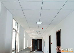 松江廠房裝修與吊頂隔墻工程服務(wù)解析